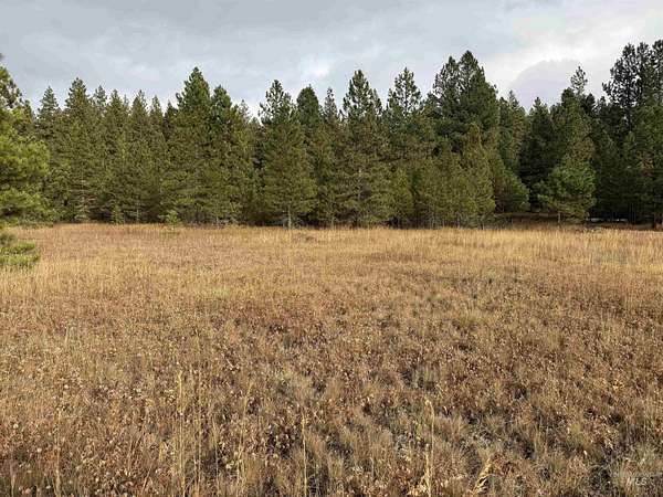 2 Acres of Residential Land for Sale in McCall, Idaho