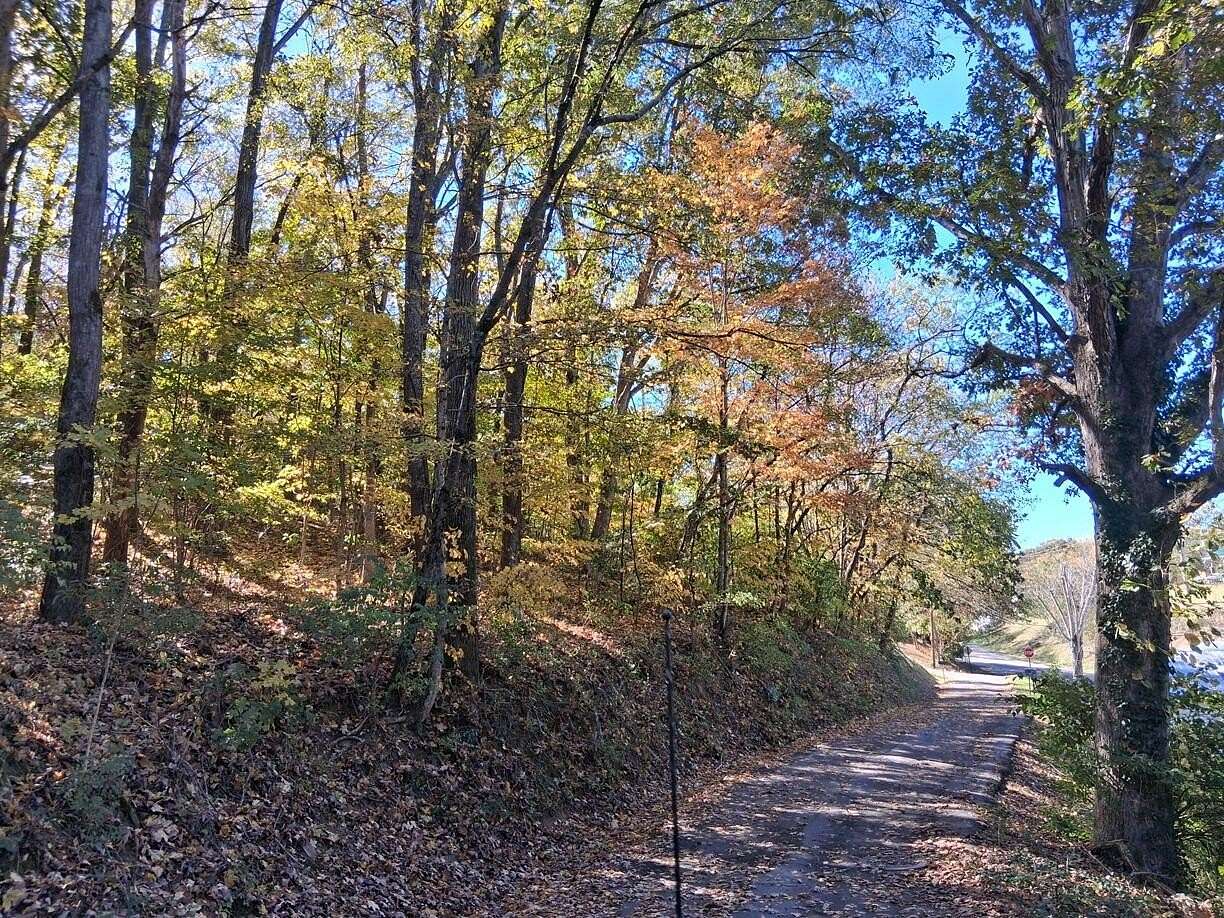 0.28 Acres of Residential Land for Sale in Newport, Tennessee
