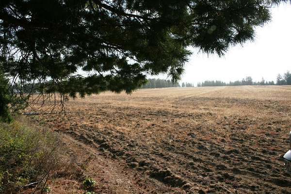 10.3 Acres of Land for Sale in Deer Park, Washington