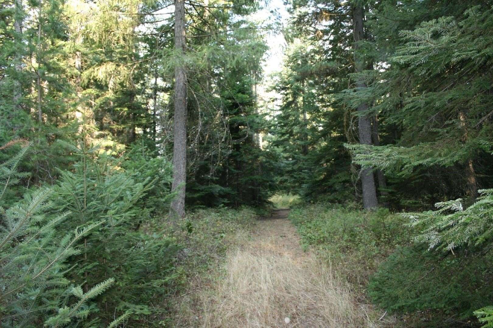 10.3 Acres of Land for Sale in Deer Park, Washington