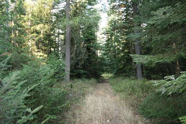 10.3 Acres of Land for Sale in Deer Park, Washington
