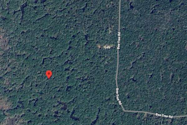20 Acres of Recreational Land for Sale in Gulf Hammock, Florida
