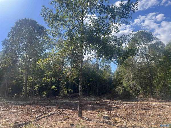 0.58 Acres of Land for Sale in Cedar Bluff, Alabama