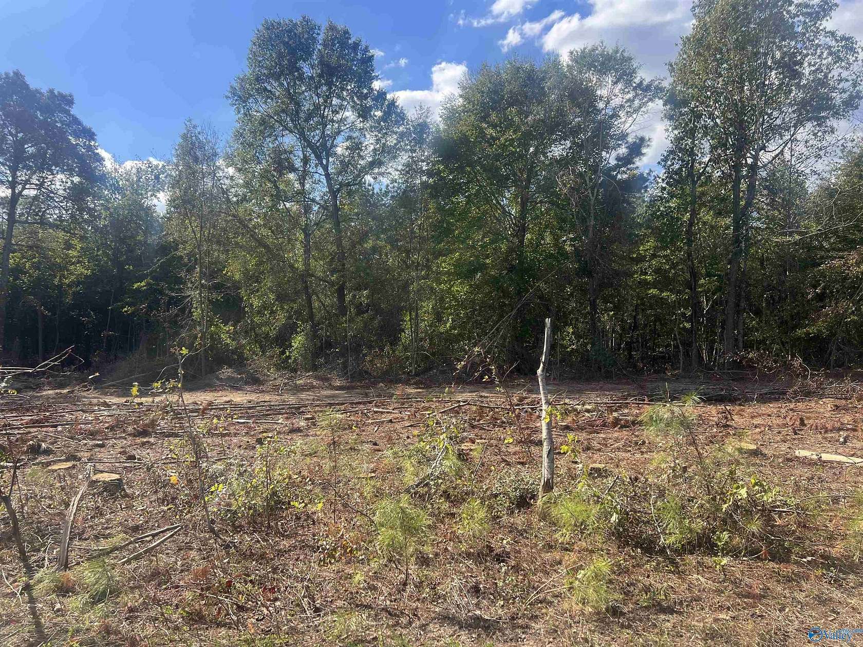 0.77 Acres of Land for Sale in Cedar Bluff, Alabama