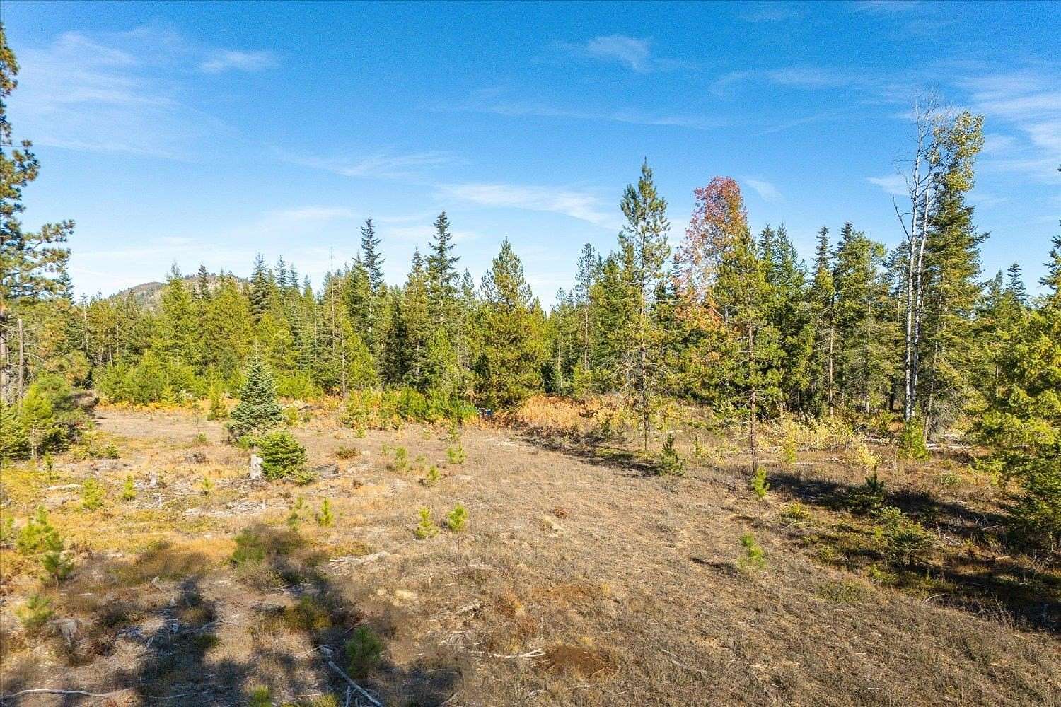 5 Acres of Residential Land for Sale in Newport, Washington