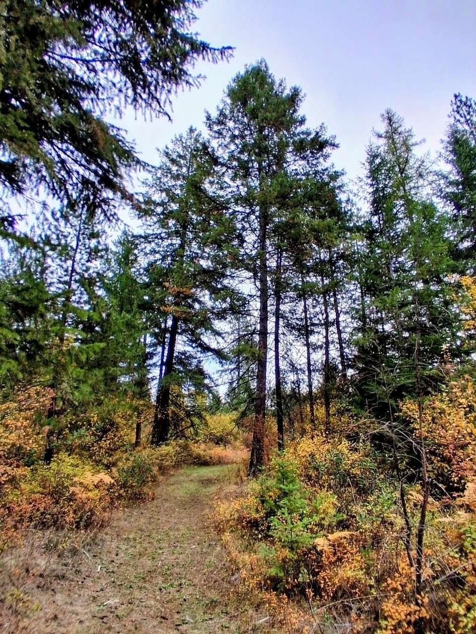 5 Acres of Land for Sale in Elk, Washington