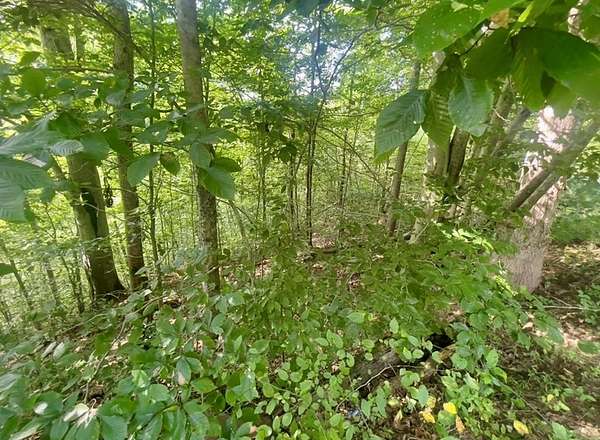 1.38 Acres of Residential Land for Sale in Viper, Kentucky