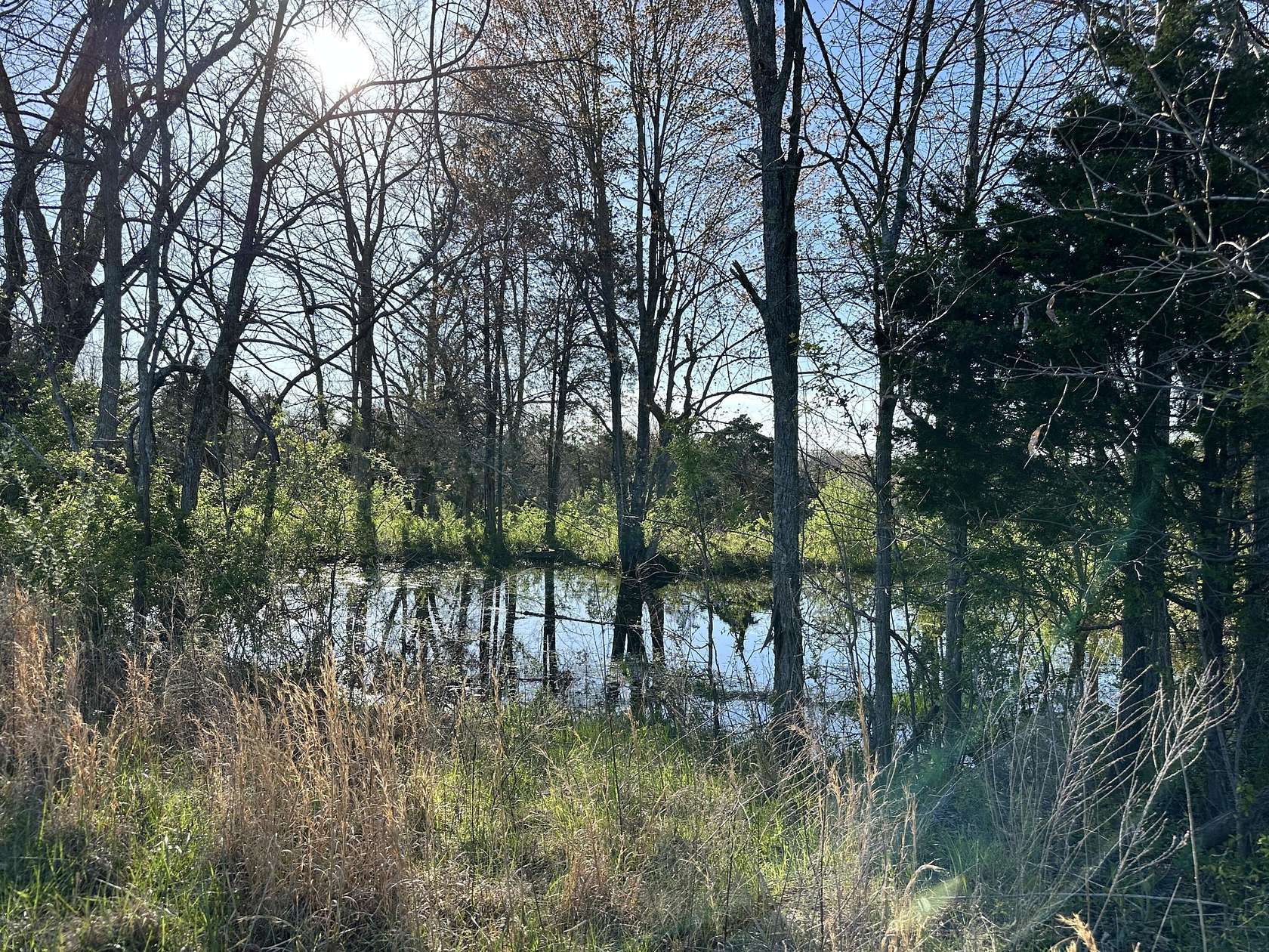 17 Acres of Land for Sale in Marion, Kentucky