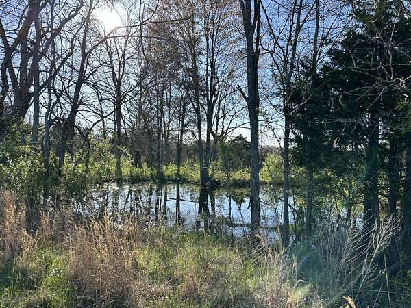 17 Acres of Land for Sale in Marion, Kentucky