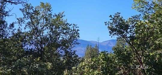 3 Acres of Land for Sale in Hayfork, California