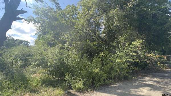 0.3 Acres of Residential Land for Sale in Tyler, Texas