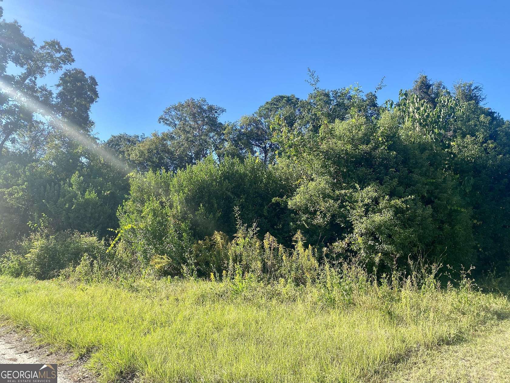 0.33 Acres of Commercial Land for Sale in Waycross, Georgia