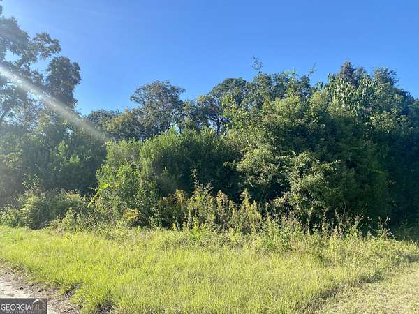 0.33 Acres of Commercial Land for Sale in Waycross, Georgia