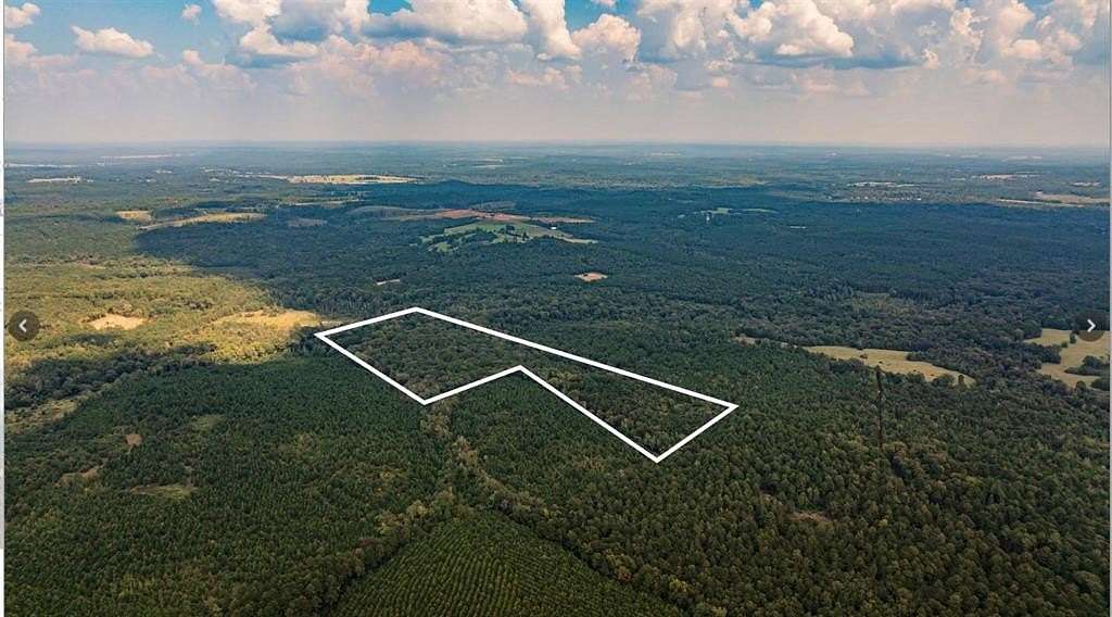 32.4 Acres of Recreational Land for Sale in Avinger, Texas
