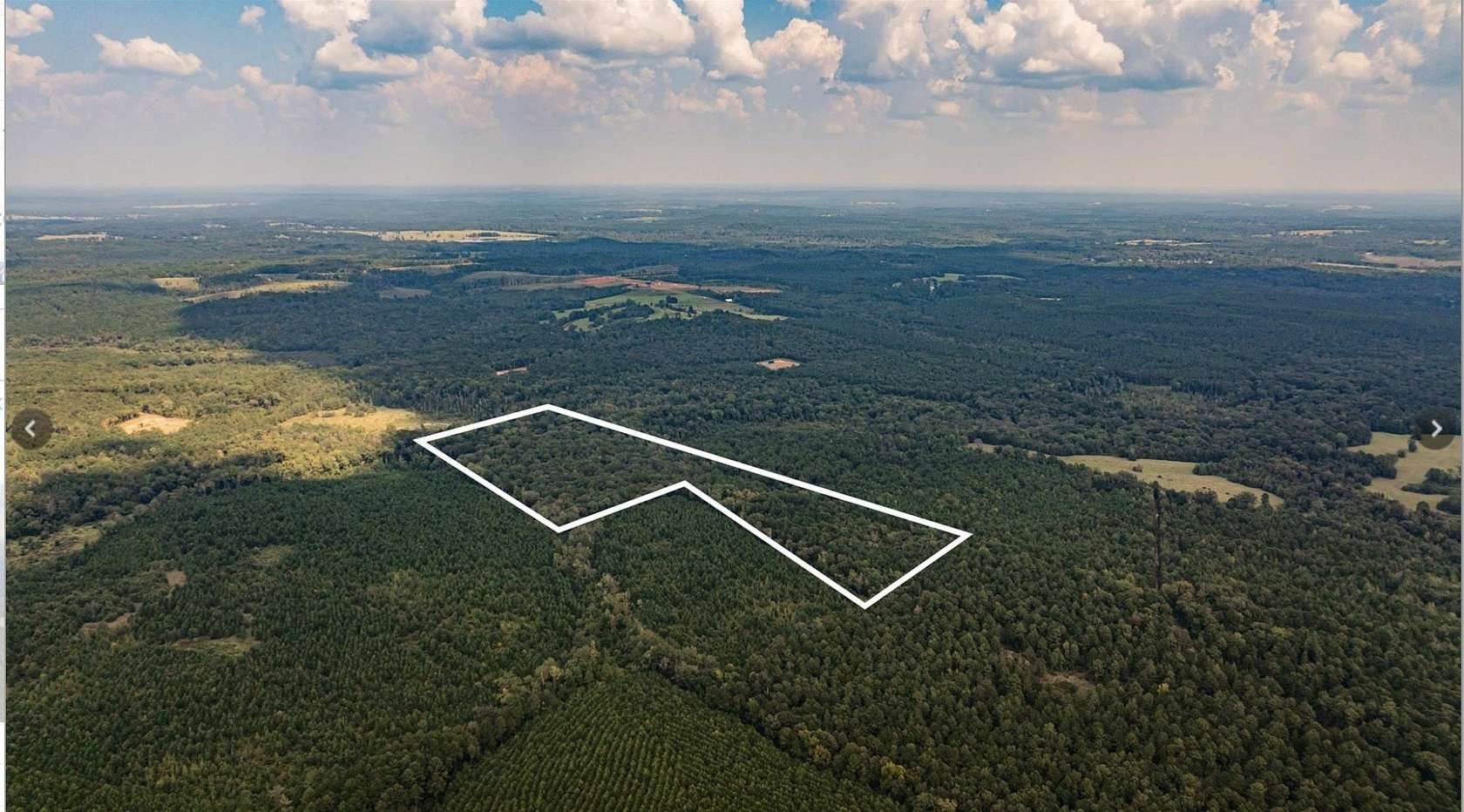 32.4 Acres of Recreational & Residential Land for Sale in Avinger, Texas