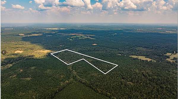 32.4 Acres of Recreational Land for Sale in Avinger, Texas