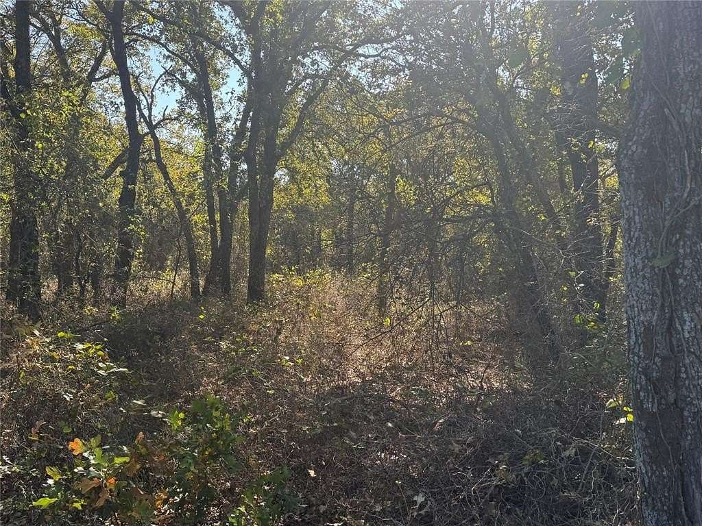 15 Acres of Land for Sale in Perrin, Texas