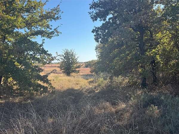 15 Acres of Agricultural Land for Sale in Perrin, Texas
