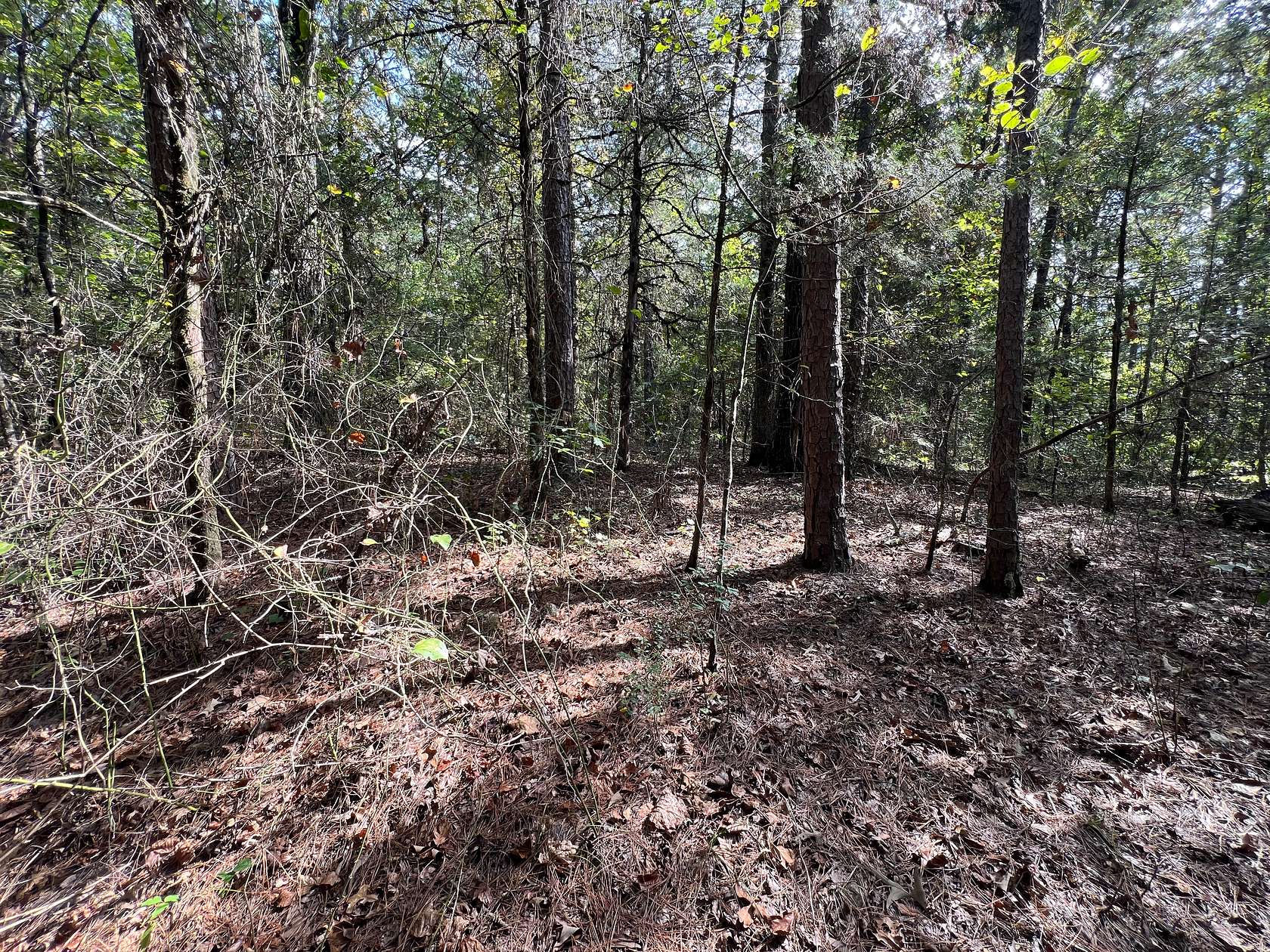 3 Acres of Land for Sale in Clinton, Arkansas