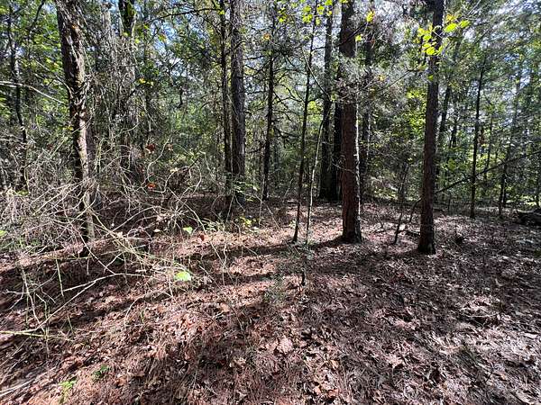 3 Acres of Land for Sale in Clinton, Arkansas