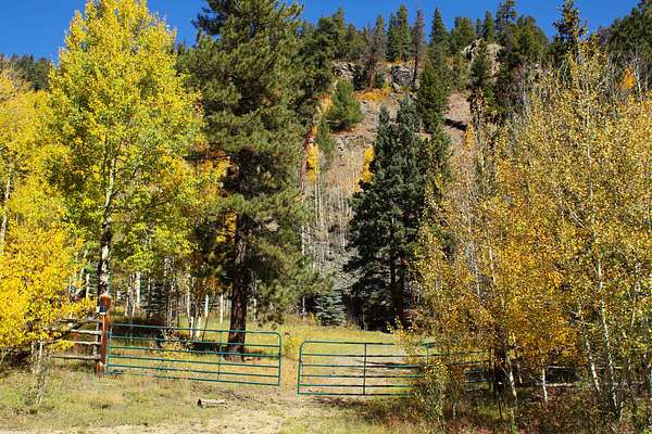 159 Acres of Recreational Land & Farm for Sale in Del Norte, Colorado