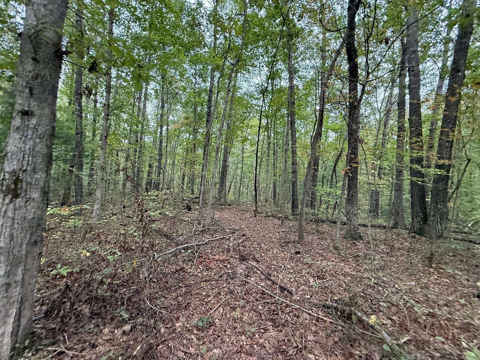 5.2 Acres of Recreational Land for Sale in Tracy City, Tennessee