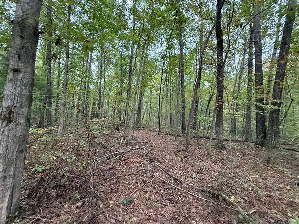 5.2 Acres of Recreational Land for Sale in Tracy City, Tennessee