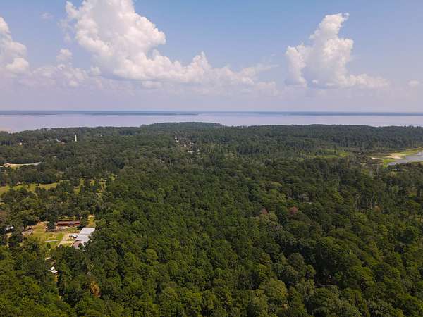 38.2 Acres of Recreational Land & Farm for Sale in Zavalla, Texas