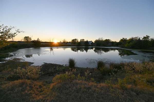 40 Acres of Agricultural Land for Sale in Wills Point, Texas