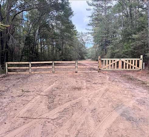 30.3 Acres of Land for Sale in Red Level, Alabama