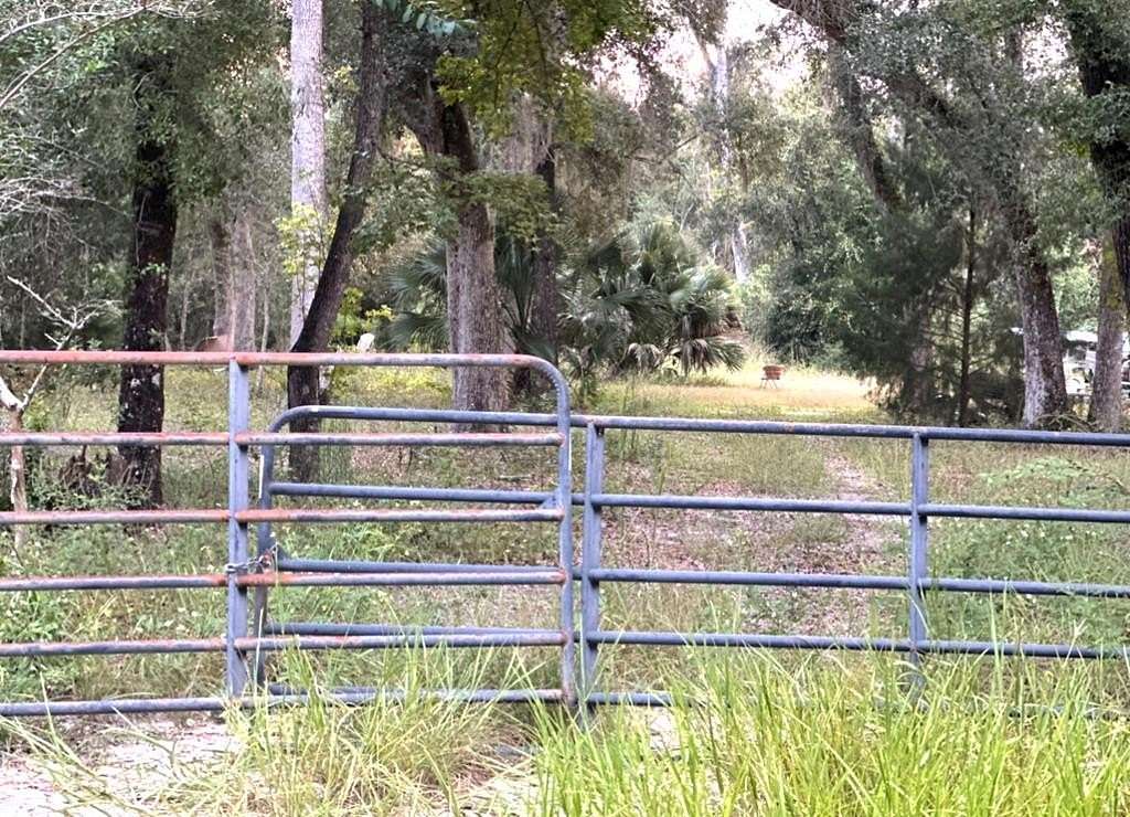 5 Acres of Residential Land for Sale in Old Town, Florida