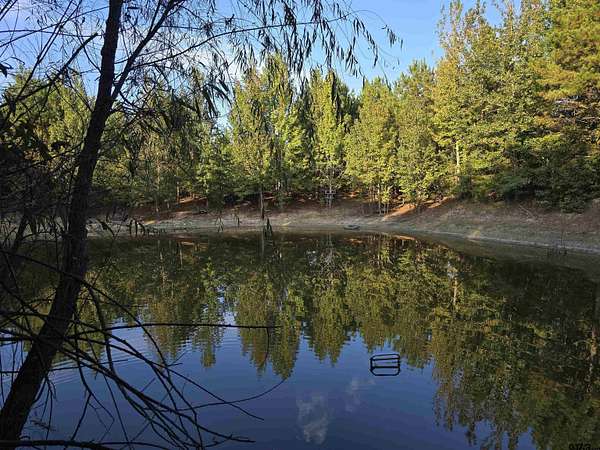 50 Acres of Recreational & Residential Land for Sale in Hughes Springs, Texas