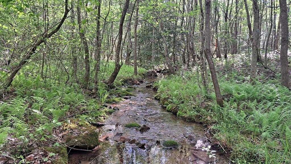 19.4 Acres of Land for Sale in Rockwood, Tennessee