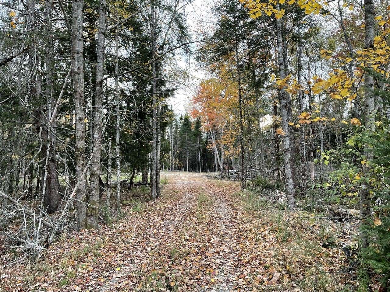 10.3 Acres of Land for Sale in Mariaville, Maine
