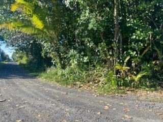 0.5 Acres of Land for Sale in Keaau, Hawaii
