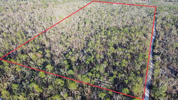 25 Acres of Recreational Land for Sale in Perry, Florida