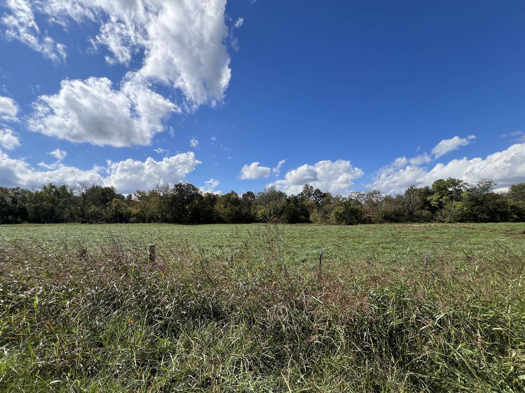 20.3 Acres of Agricultural Land for Sale in Wartrace, Tennessee