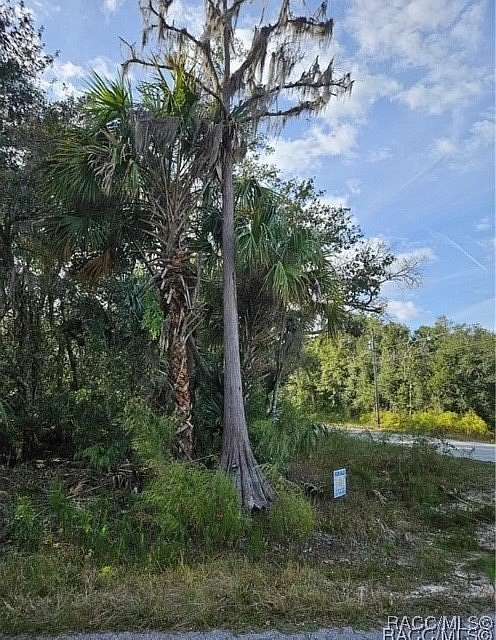 1.33 Acres of Residential Land for Sale in Crystal River, Florida