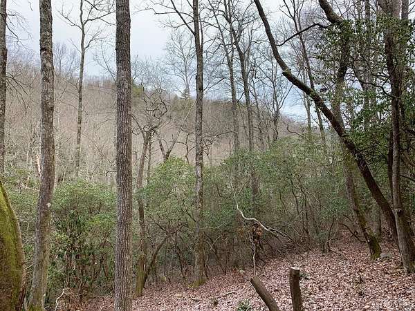0.96 Acres of Residential Land for Sale in Sapphire, North Carolina