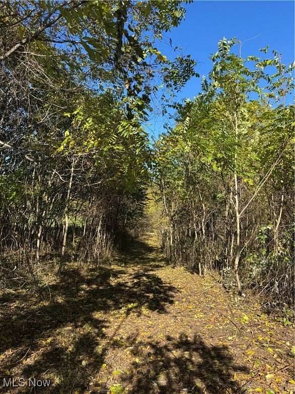 9.45 Acres of Land for Sale in Blue Rock, Ohio