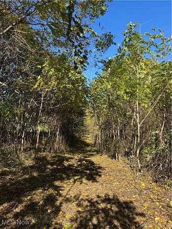 9.45 Acres of Land for Sale in Blue Rock, Ohio