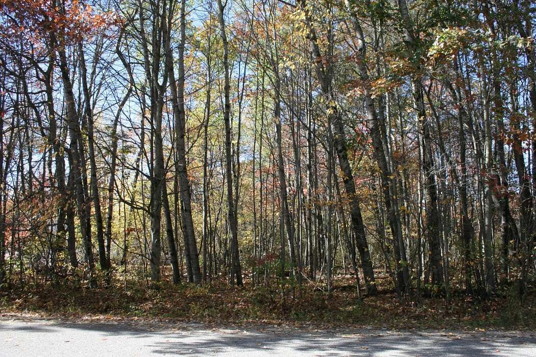 0.36 Acres of Residential Land for Sale in Roscommon, Michigan