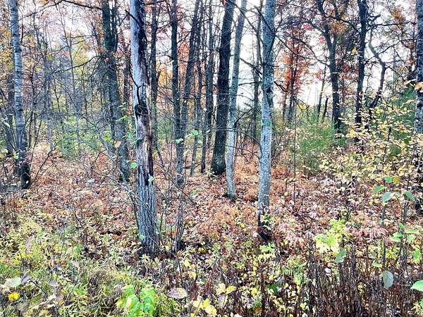 10 Acres of Recreational Land for Sale in Roscommon, Michigan