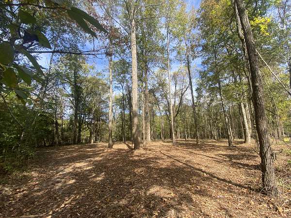7.37 Acres of Land for Sale in Hillsboro, Tennessee