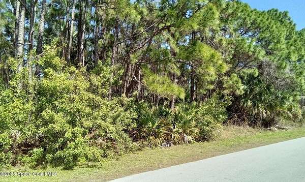 0.23 Acres of Residential Land for Sale in Palm Bay, Florida