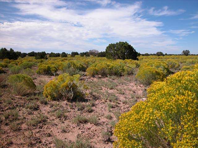 4.6 Acres of Residential Land for Sale in Chambers, Arizona