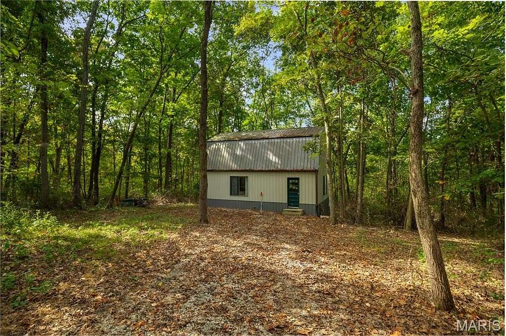 40.4 Acres of Recreational Land & Farm for Sale in Sorento, Illinois