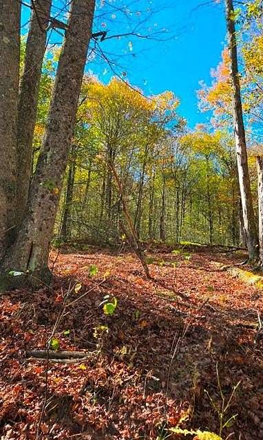 11.9 Acres of Recreational Land for Sale in Austin, Pennsylvania