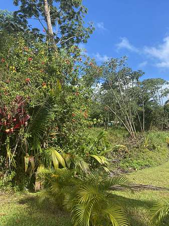 0.36 Acres of Land for Sale in Pahoa, Hawaii