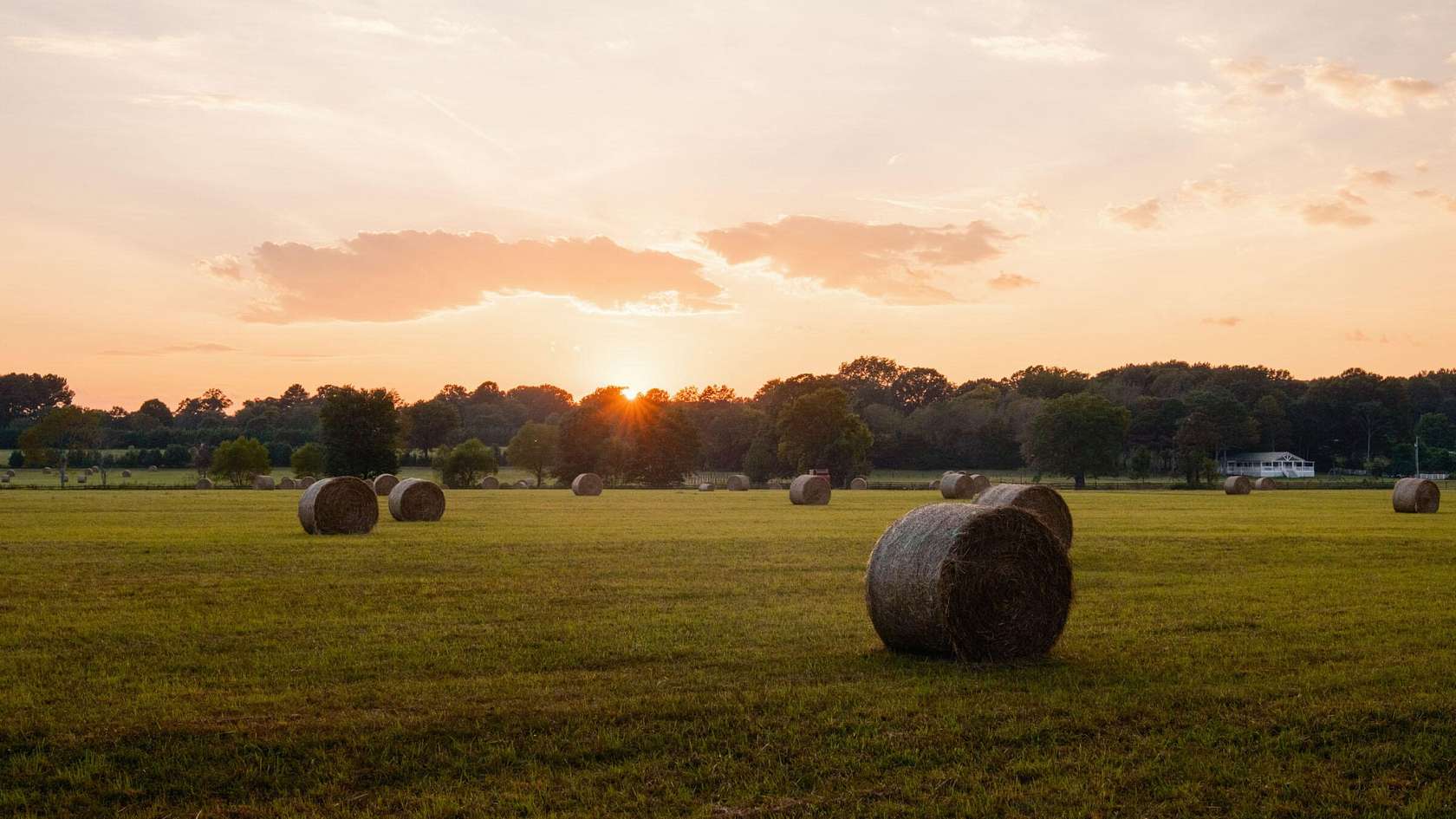 117 Acres of Land for Sale in Gurley, Alabama